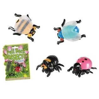 Insectos de Fricción en Tarjeta (24 uds.)